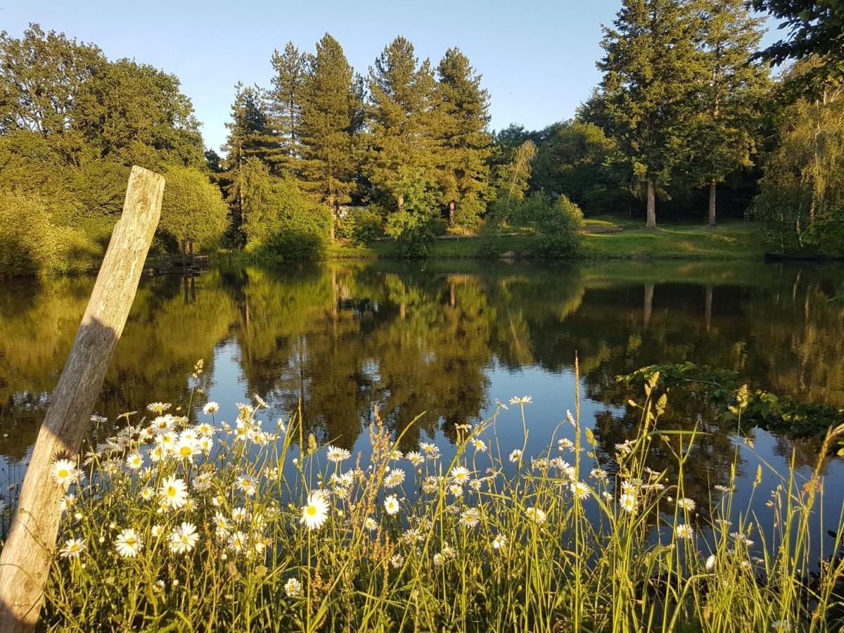 Camping De La Chagnee Saint-Aubin-le-Cloud 외부 사진