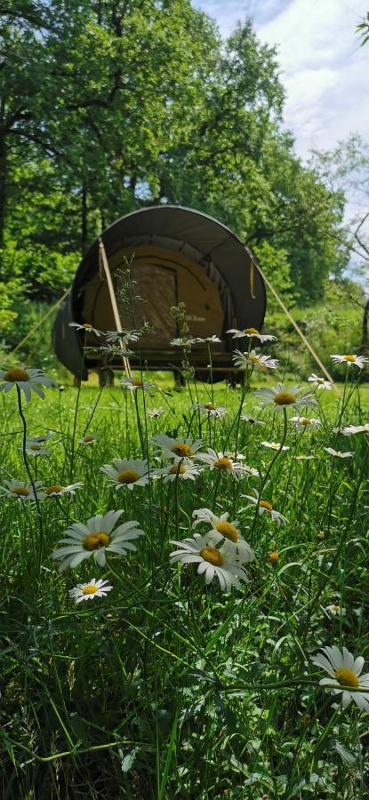 Camping De La Chagnee Saint-Aubin-le-Cloud 외부 사진
