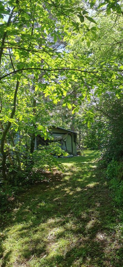 Camping De La Chagnee Saint-Aubin-le-Cloud 외부 사진